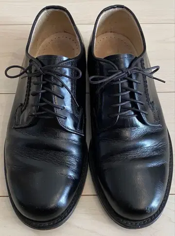 프로페셔널 기어 프로페셔널 기어 리걸 비즈니스