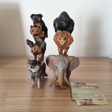 하시모토 미오 브레멘 음악대 강아지 음악대 맹수 음악대 세트