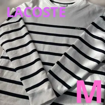 라코스테 맨투맨 보더 LACOSTE