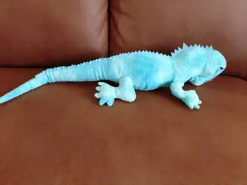 도마뱀 봉제 인형 에메랄드 그린 약 66cm