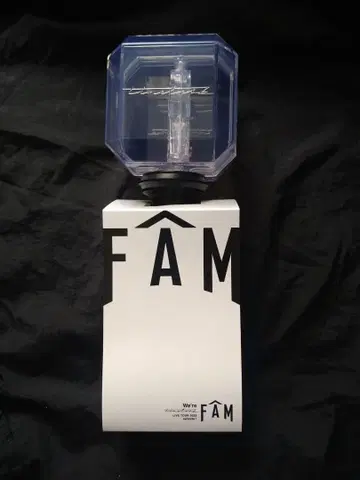 TIMELESZ FAM 펜라이트 타임레스