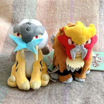 엔테이 라이코 포켓몬핏 봉제 인형 pokemonfit
