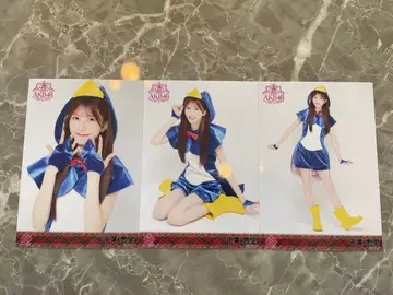 AKB48 멤버 리퀘스트 동경의 의상 브로마이드 3종 컴프 치바 에리