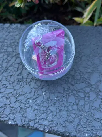 B'z LIVE 2025 FYOP 가치 카세트 참