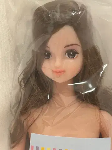 BD 즐거움 인형 H