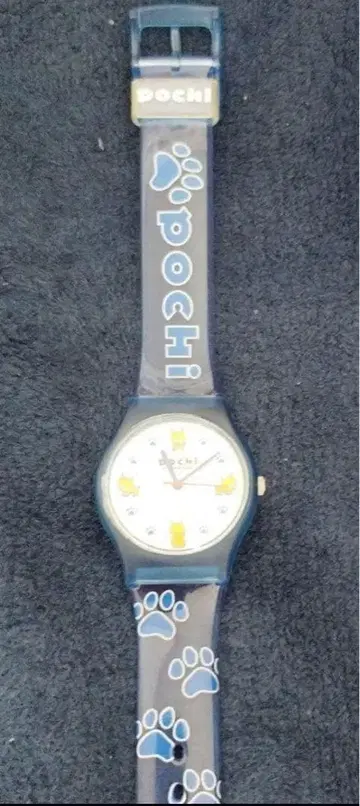 THE ALFEE 타카미자와 씨 포치의 손목시계