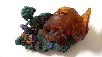 드라캅 셀 빈 껍데기