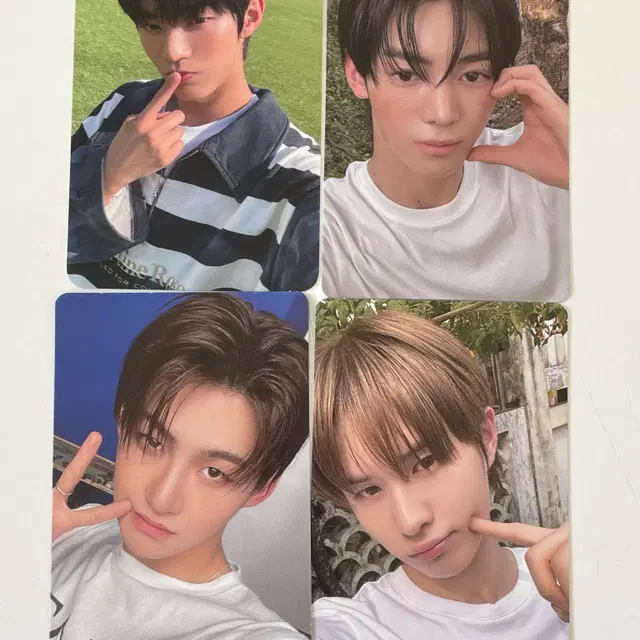 투어스 TWS 도훈 한진 지훈 경민 공방포카 위버스특전 앨범포카 일괄