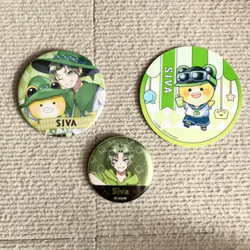 컬러풀 피치 시바 와다란 메타캔 도쿄돔 시티