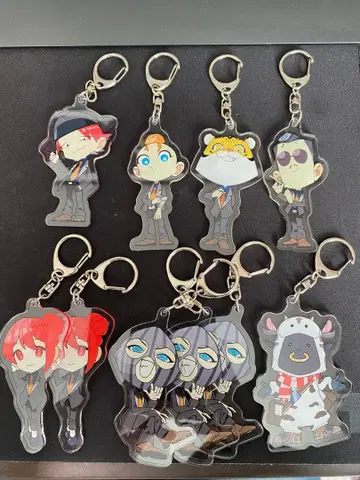 스트그라 아크릴 키링 (중복 포함) CD 세트