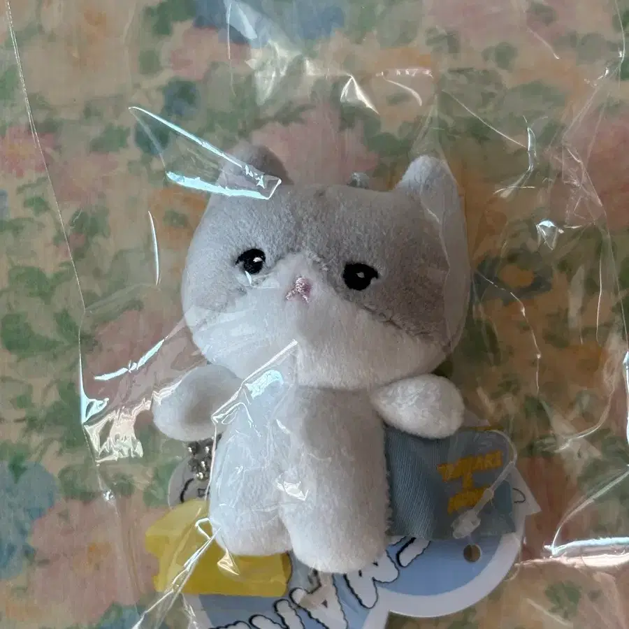 SHINEE | 샤이니 onew 찡구왕 40cm #샤이니온유,#찡구왕40cm,#온유인형