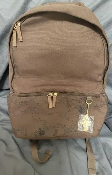 디즈니씨 20주년 타임 투 샤인 백팩