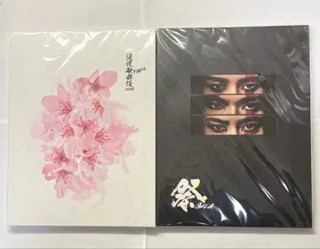 SnowMan 팜플렛 타키자와가부키ZERO FINAL + 마츠리GALA