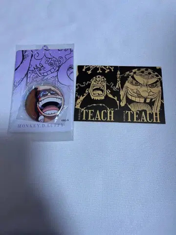 원피스 특제 홀더 & 캔뱃지 니카 루피