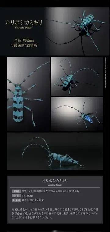 생물대도감 어드밴스 하늘소 루리보시 하늘소 가챠