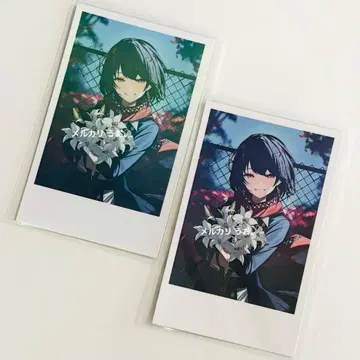 [니지산지 마시로코우] 생일 굿즈 2025 폴라로이드풍 카드