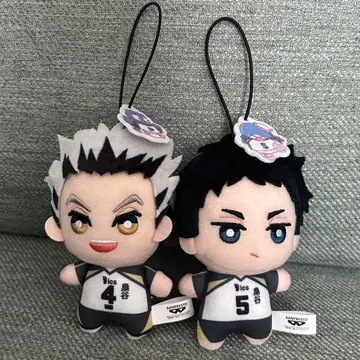 하이큐 산리오 아카아시 케이지 보쿠토 코타로