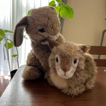 슈타이프 봉제 인형 토끼