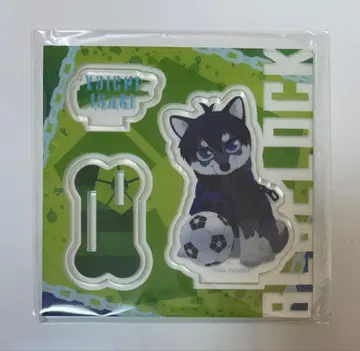 블루 록 동물 포즈 강아지 이사기 요이치 아크릴 스탠드 블루 록