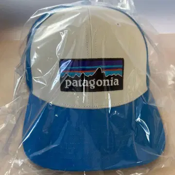 patagonia 야구 모자 파랑/화이트
