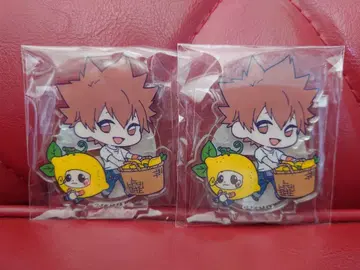 가정교사 히트맨 REBORN! 사와다 츠나요시