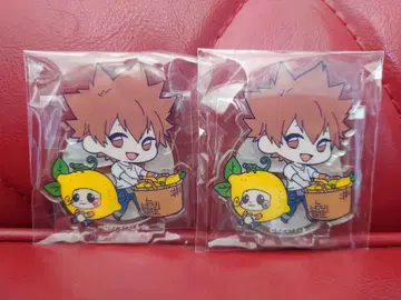 가정교사 히트맨 REBORN! 사와다 츠나요시