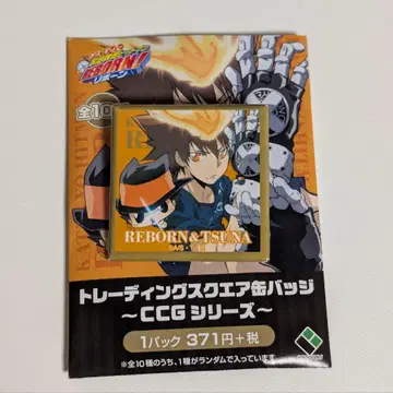 가정교사 히트맨 REBORN! 사와다 츠나요시 스퀘어 캔뱃지 CCG