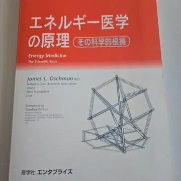 에너지 의학의 원리