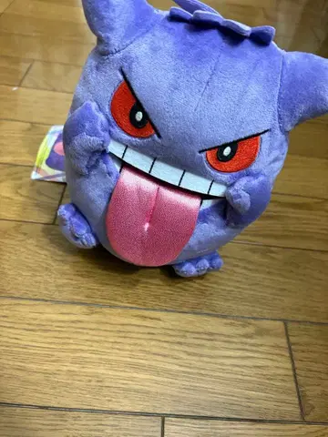 택 포함 새상품 BEROBE~ 겐가 봉제 인형 포켓몬 센터