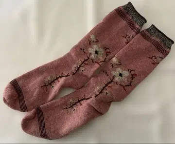 ARTS&SCIENCE 울 삭스 아츠앤사이언스