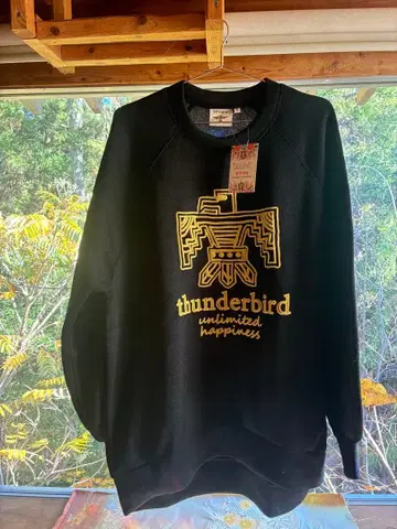 티티카카 썬더버드 프린트 풀오버