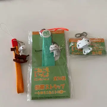 도코데모 잇쇼 토로 아기 고양이