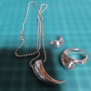 실버 송곳니, 손톱, 디자인, 펜던트, 반지, 한쪽 귀걸이