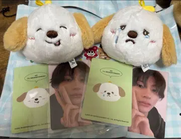 RIIZE 앤톤 중국 상하이 팝업 한정판 블라인드 박스 컴프