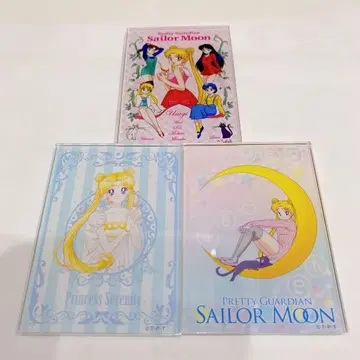 세일러문 아크릴 마그넷 3종 세트