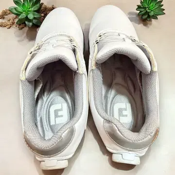 FootJoy 골프화 화이트 23cm 새상품급