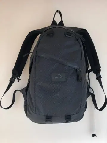GREGORY 백팩 20L