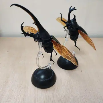 장수풍뎅이 피규어 2체 세트