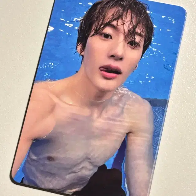 라이즈 앤톤 패키지 버전 앨범 수영 포카 분철 양도 / 미공포 특전