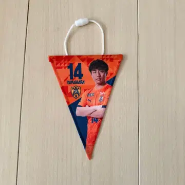 시미즈 에스펄스 야마하라 레온 14 미니 가랜드