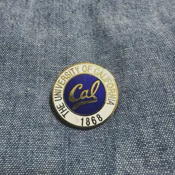 80s 캘리포니아 대학 버클레이 캠퍼스 핀 배지 핀즈