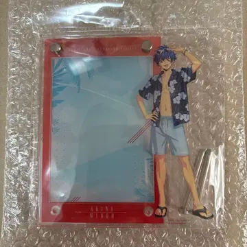 카드파이트!! 뱅가드 Divinez 사진 스탠드 아케도 아키나