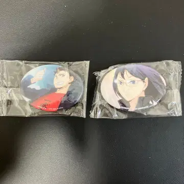 초레어 미개봉 하이큐 시미즈 키요코 니시노야 유우 타원 명장면 캔뱃지