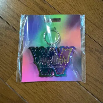 WANNIM 메탈 키링 오로라 컬러