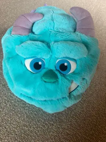 디즈니 팬캡 샐리