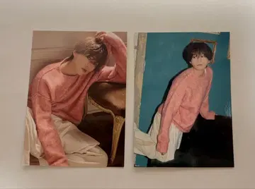 야기 유세이 트레이딩 카드