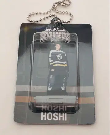 SEVENTEEN 호시 HOME 아크릴 키링