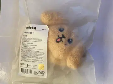 SEVENTEEN miniteen 도겸 코인 파우치