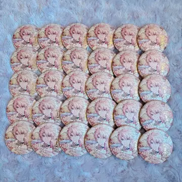 아이나나 이즈미 미츠키 UR 캔뱃지 EXPO 30개