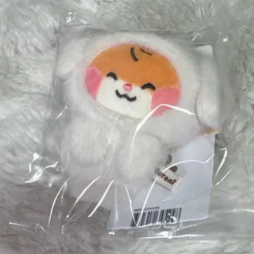 zeroni 봉제 인형 마그넷 사진 홀더 비니니 한빈